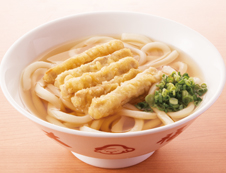 ごぼう天うどん